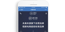 重慶本真本源實業(yè)有限公司【手機版】